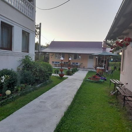 Hotel Casa Ionescu Sadova  Exteriér fotografie