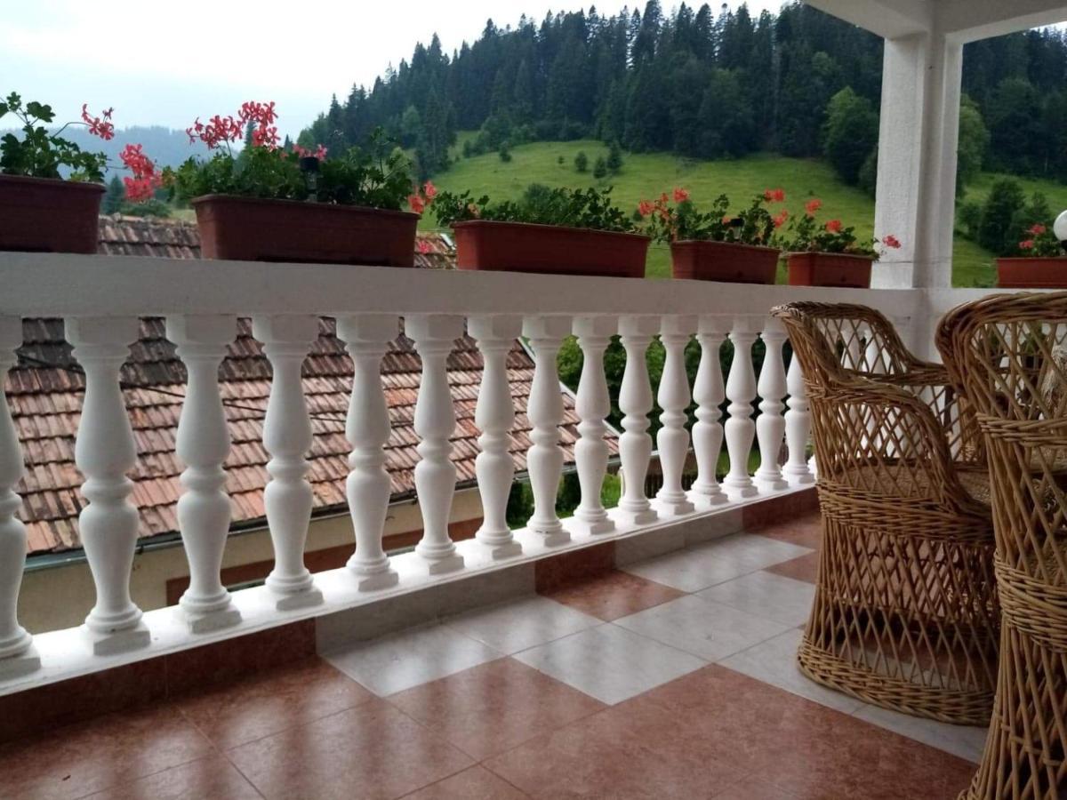 Hotel Casa Ionescu Sadova  Exteriér fotografie