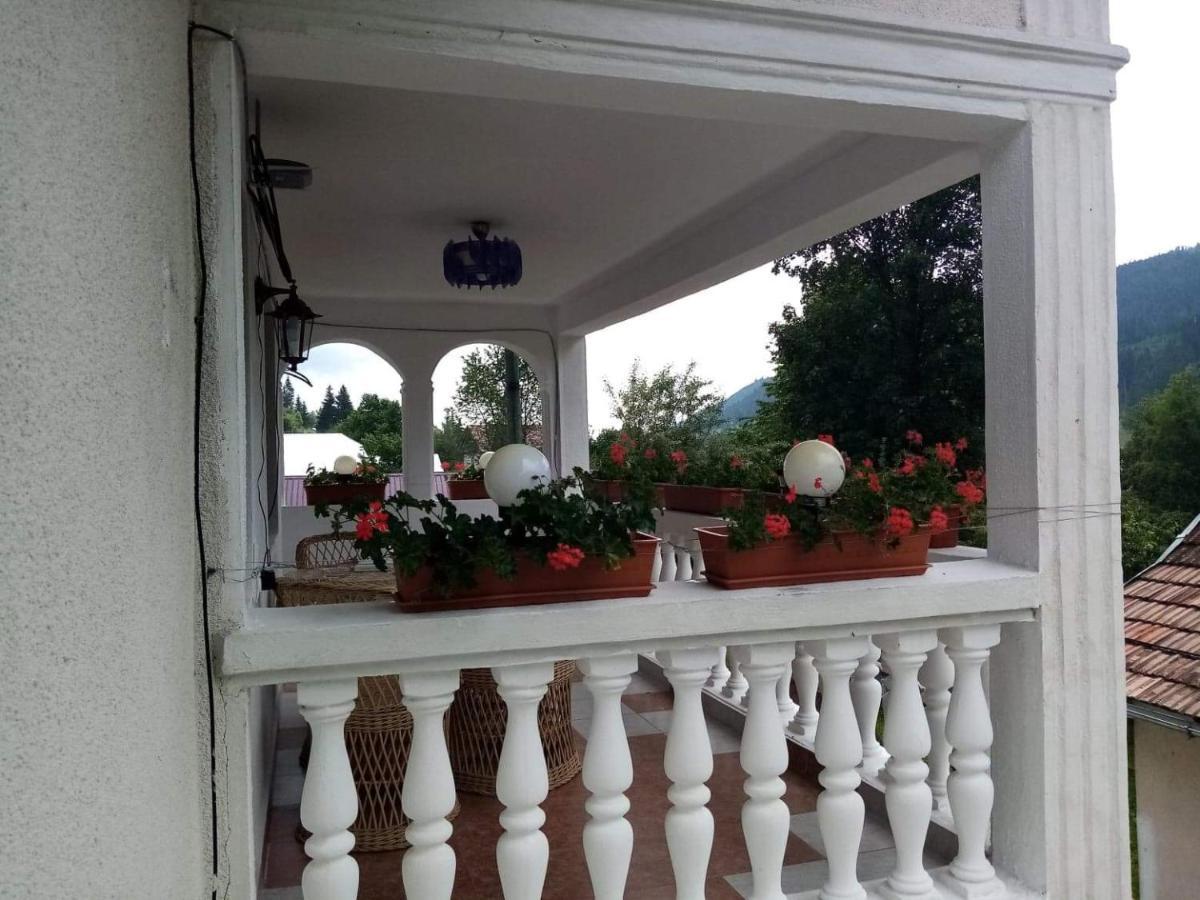 Hotel Casa Ionescu Sadova  Exteriér fotografie