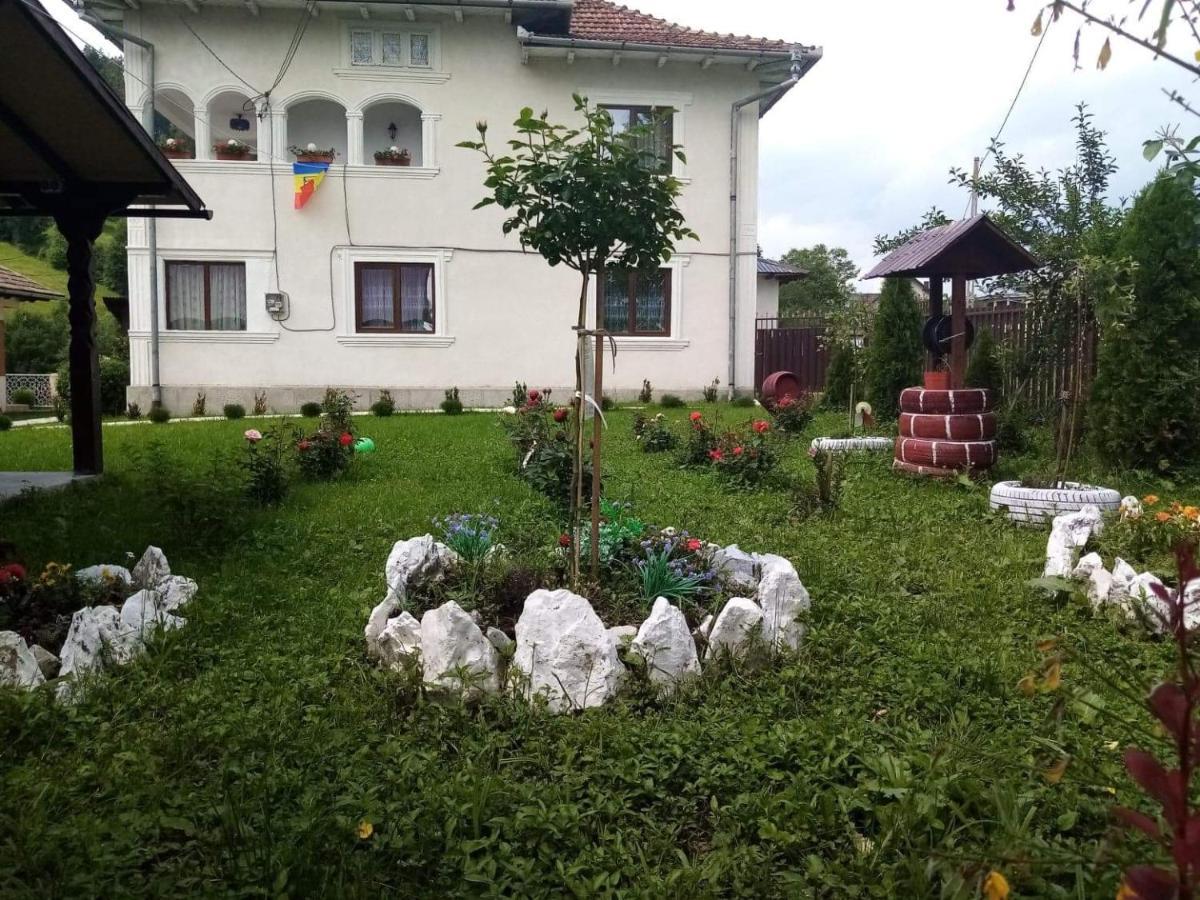 Hotel Casa Ionescu Sadova  Exteriér fotografie