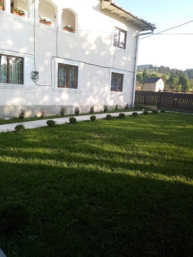 Hotel Casa Ionescu Sadova  Exteriér fotografie
