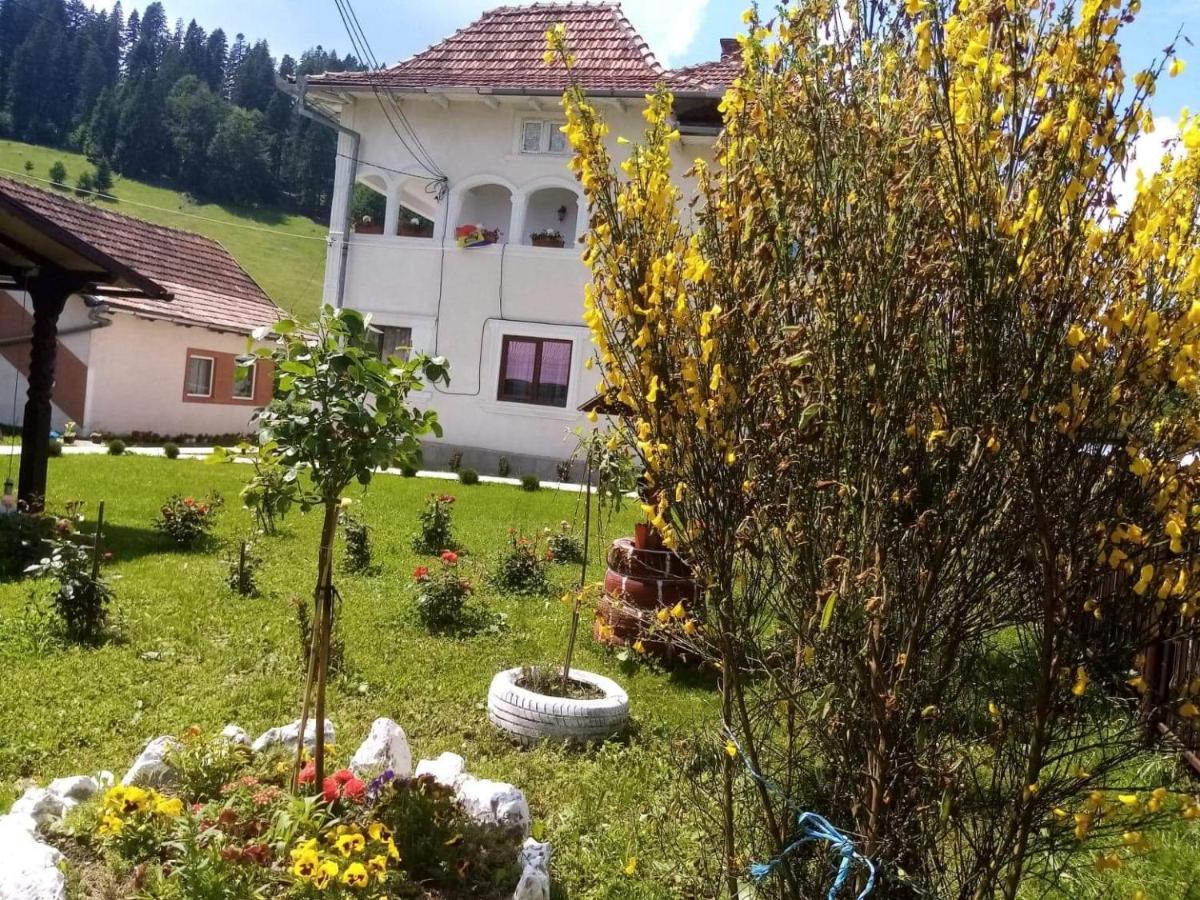 Hotel Casa Ionescu Sadova  Exteriér fotografie