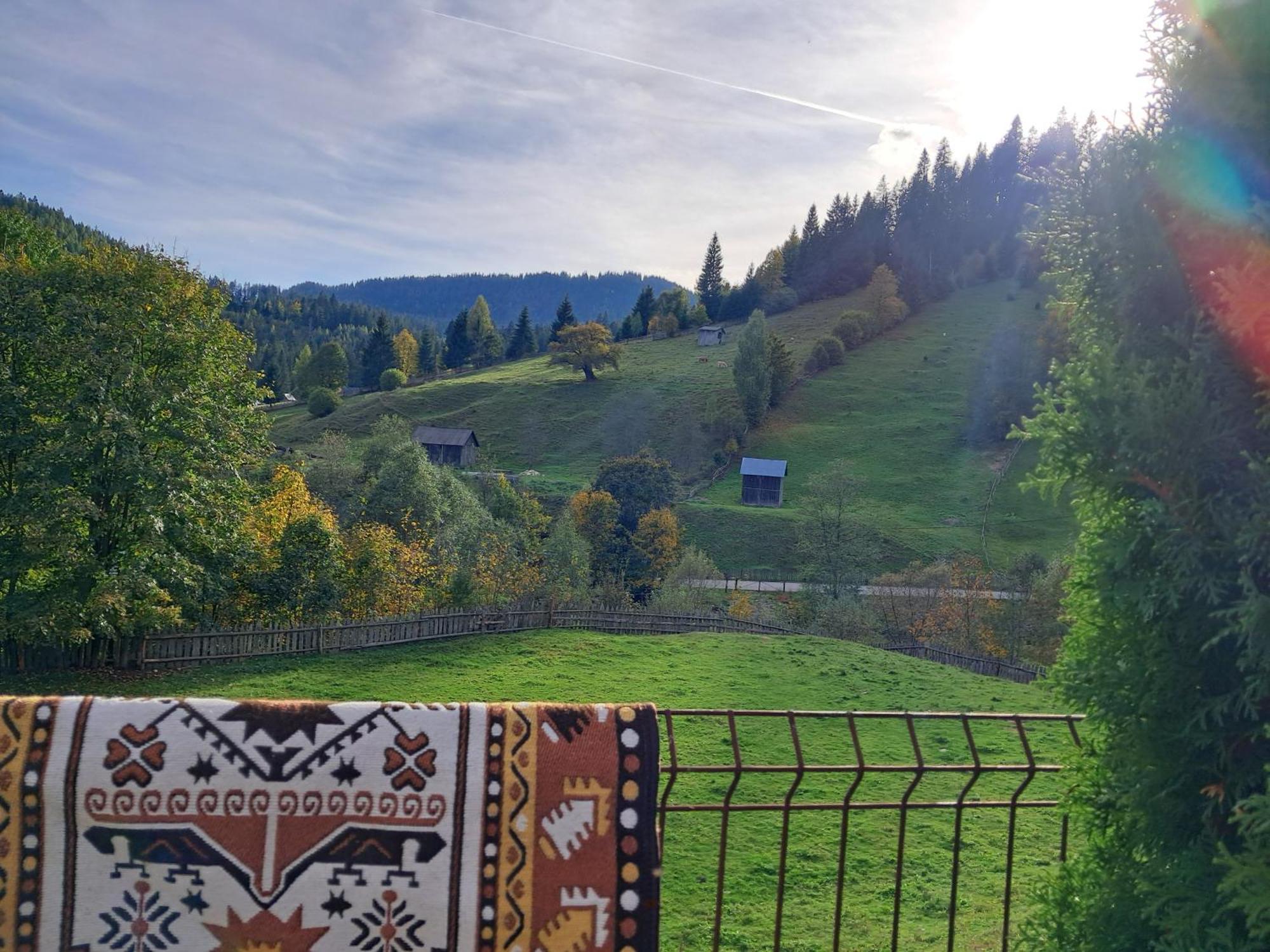 Hotel Casa Ionescu Sadova  Pokoj fotografie