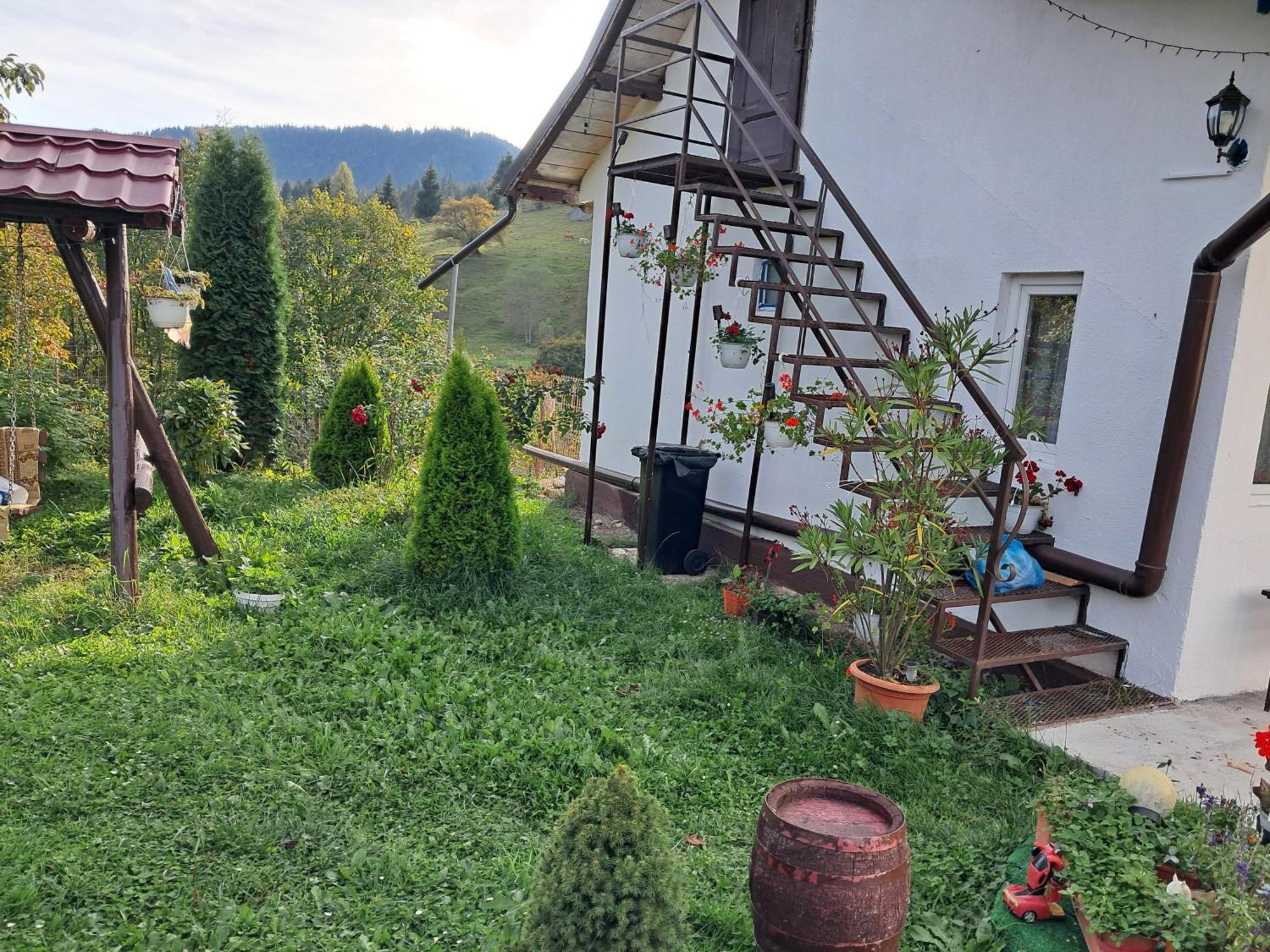 Hotel Casa Ionescu Sadova  Pokoj fotografie