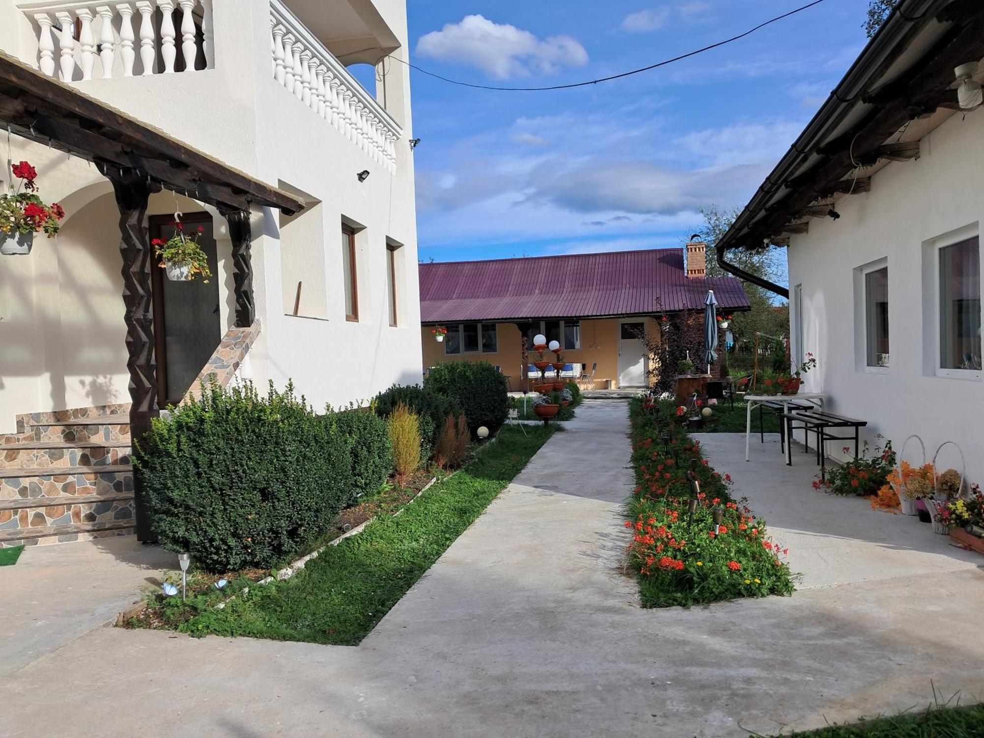 Hotel Casa Ionescu Sadova  Pokoj fotografie