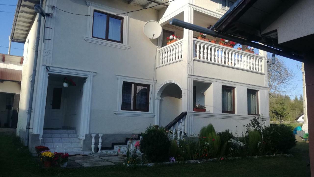 Hotel Casa Ionescu Sadova  Exteriér fotografie